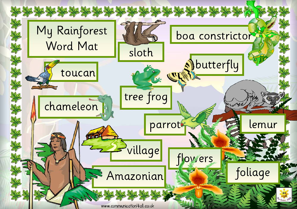 Rainforest Rainforest Words